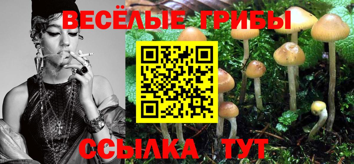 Псилоцибиновые грибы Psilocybine cubensis Лосино-Петровский